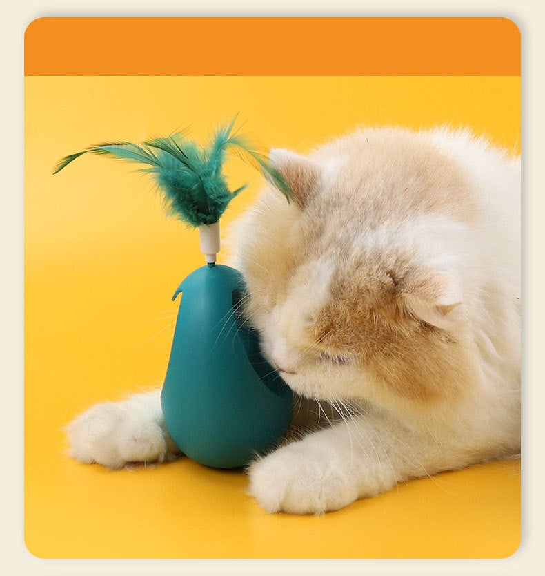 cat toy