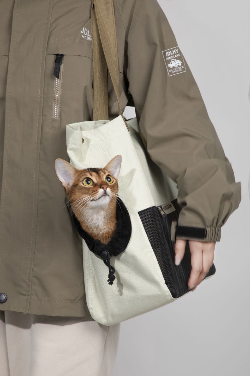 Pet carrier