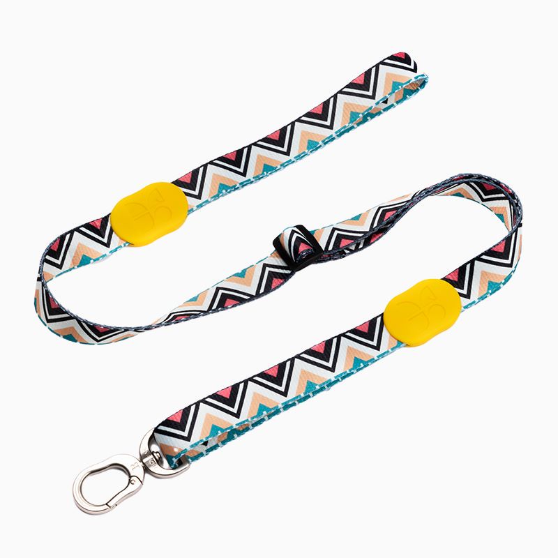 HiDream Outdoor Patterned Dog Leash