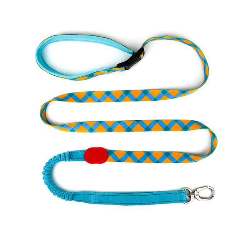 Dog Leash