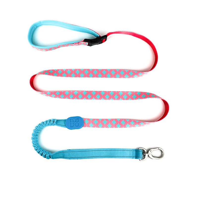 Dog Leash