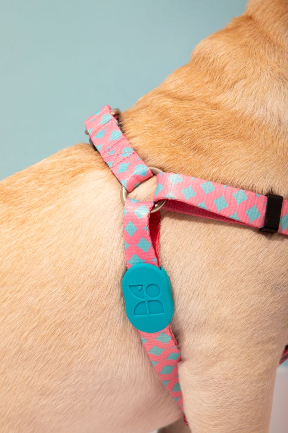 Dog Harness