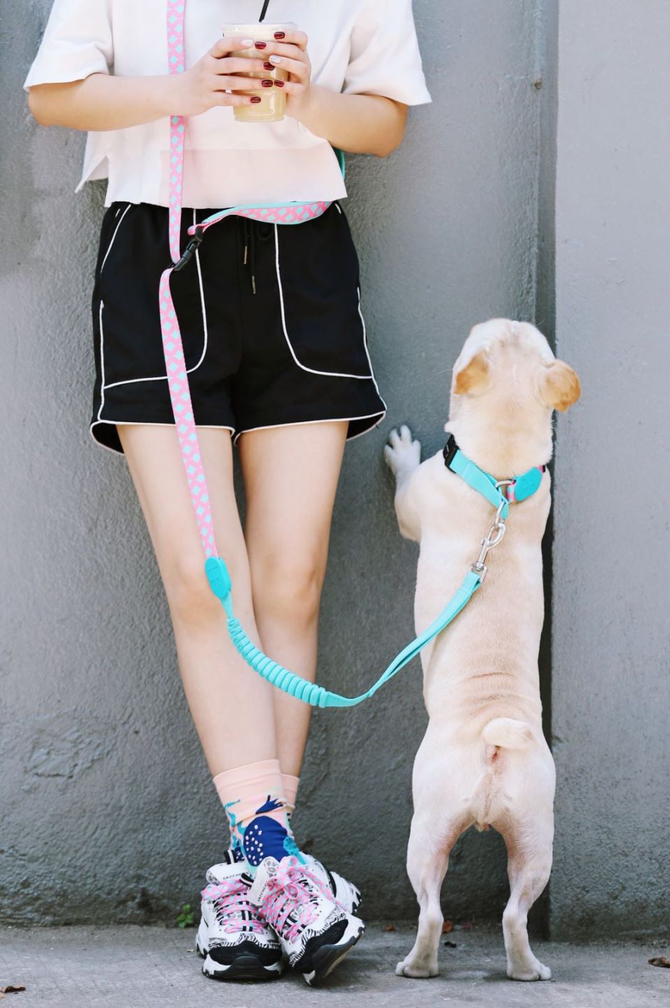 Dog Leash