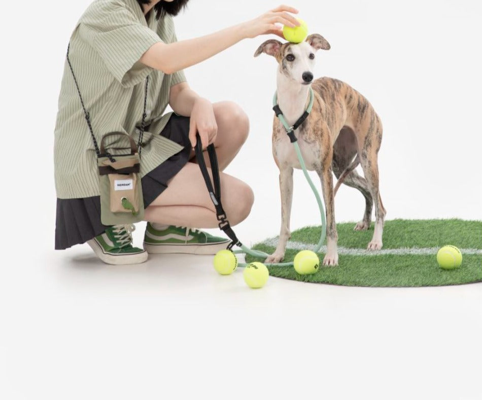 Pet Shoulder Bag